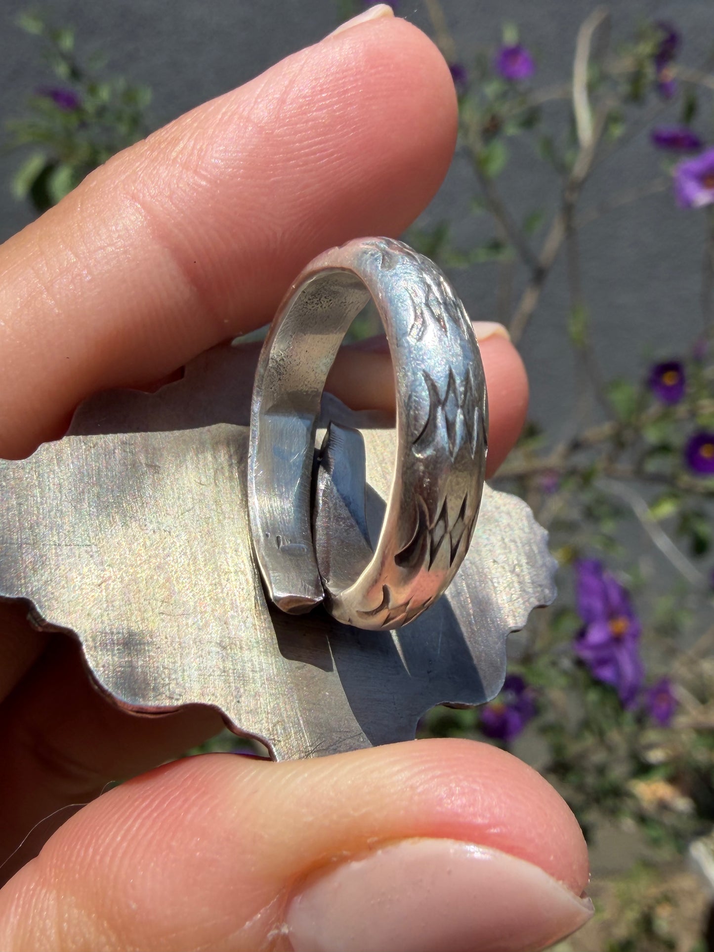 Chatfields Ring