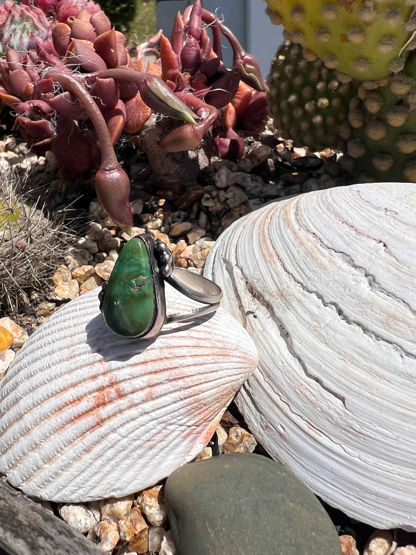Sonoran Ring