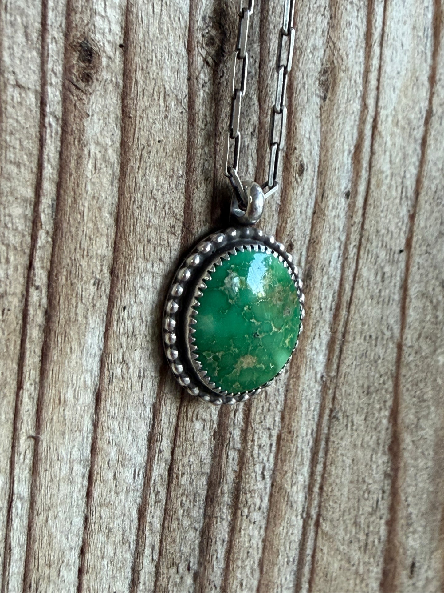 Sonoran pendant