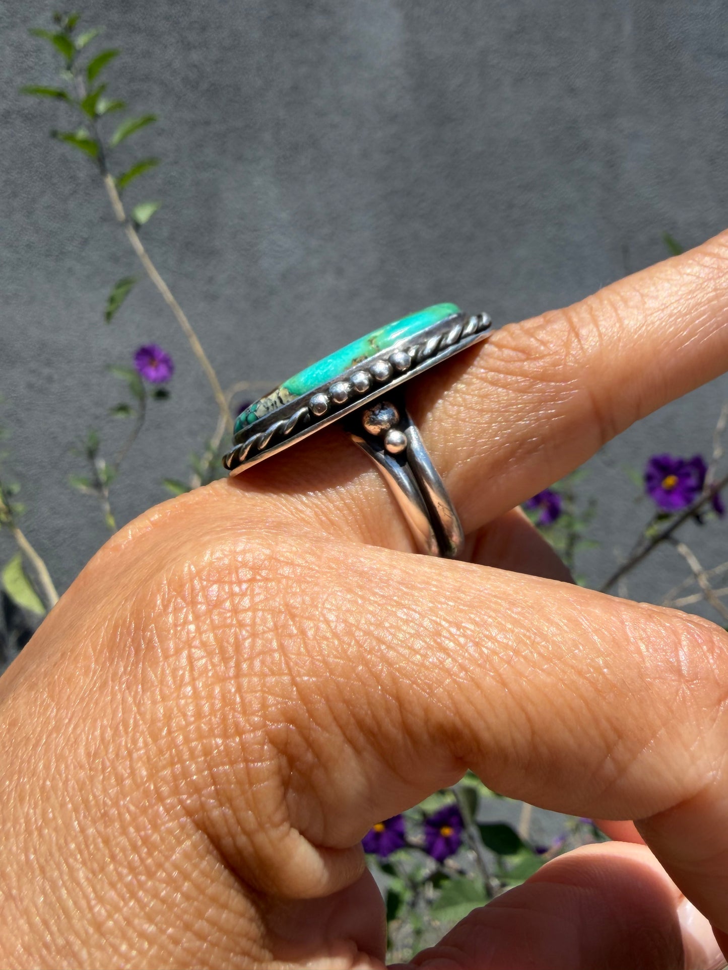 Hubei Ring