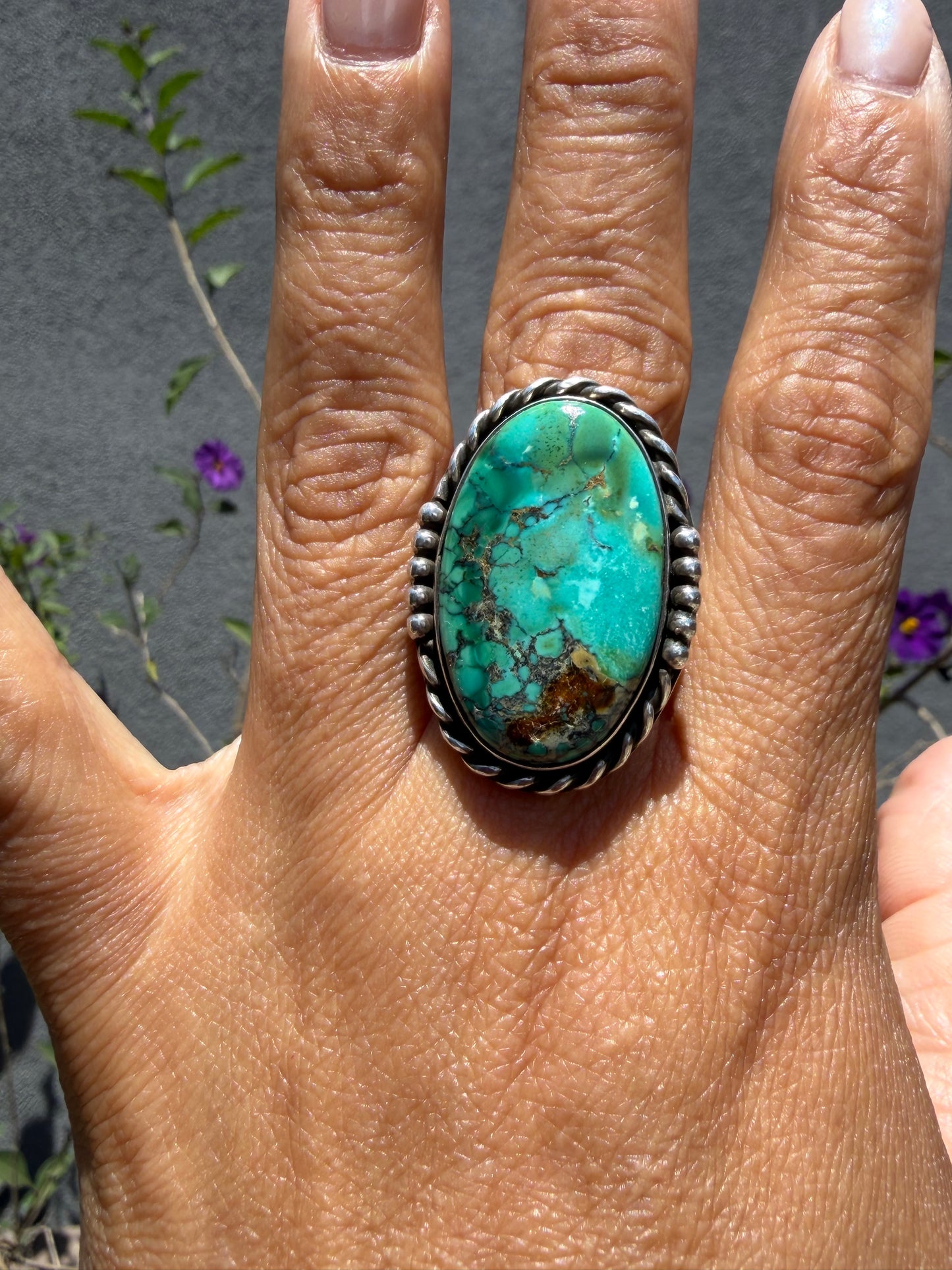 Hubei Ring