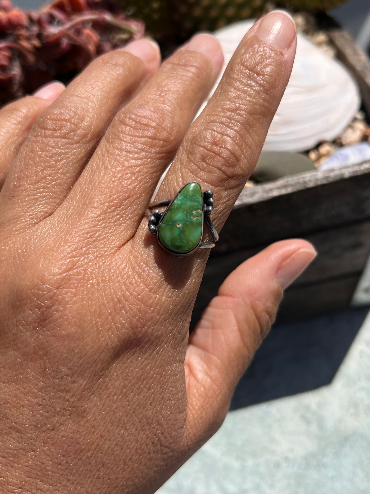 Sonoran Ring