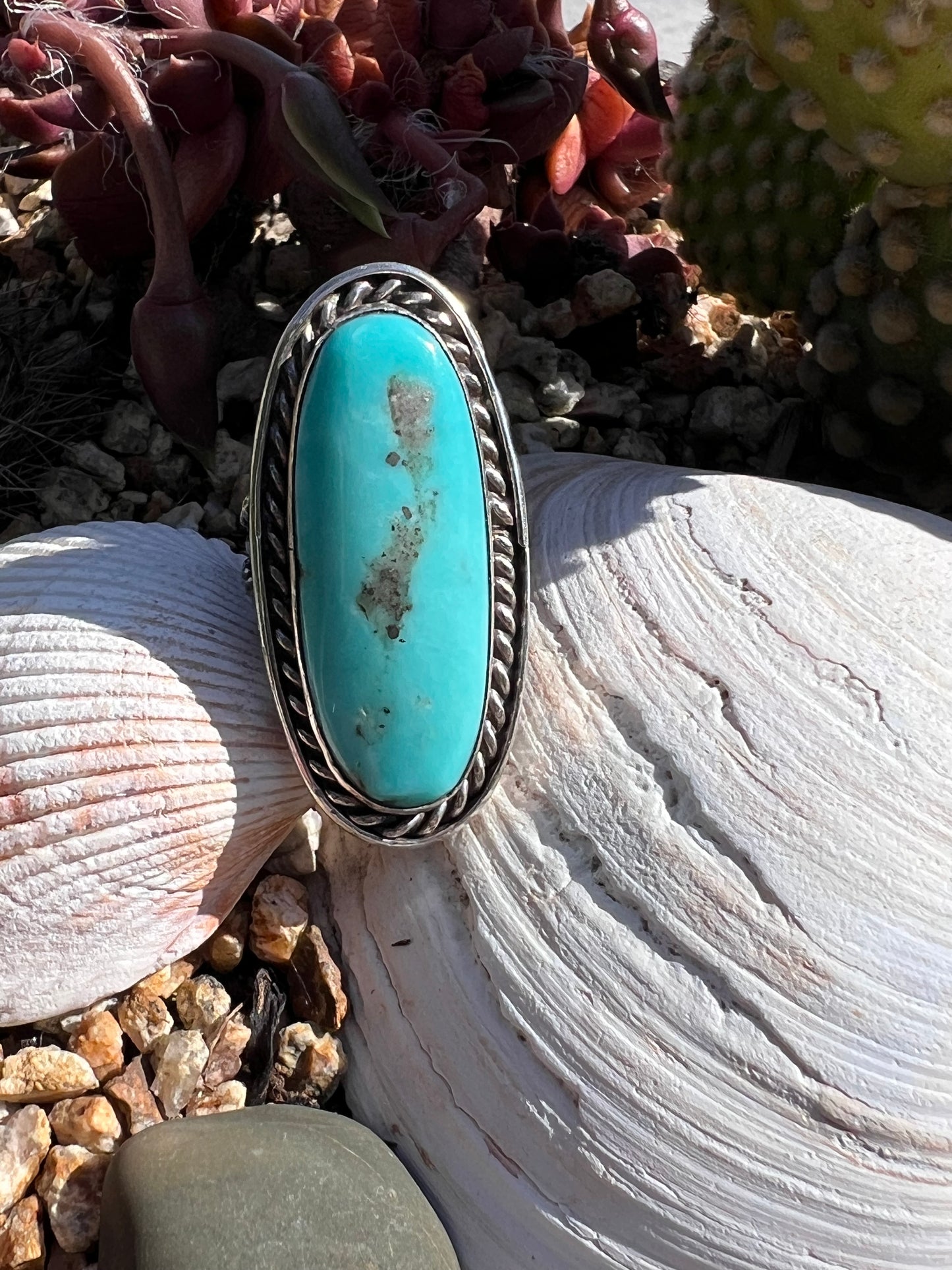 Nacozari Ring