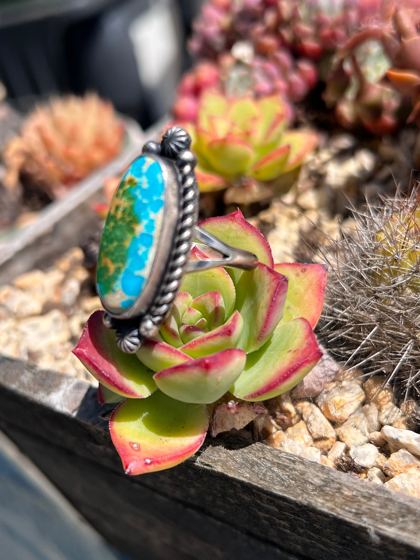 Sonoran Gold Ring