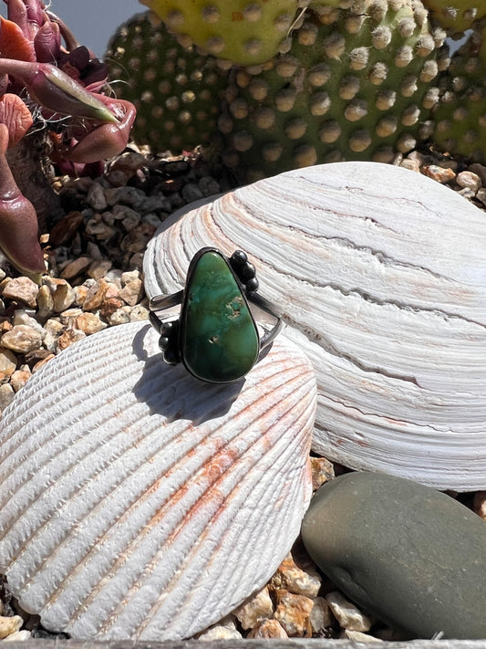 Sonoran Ring