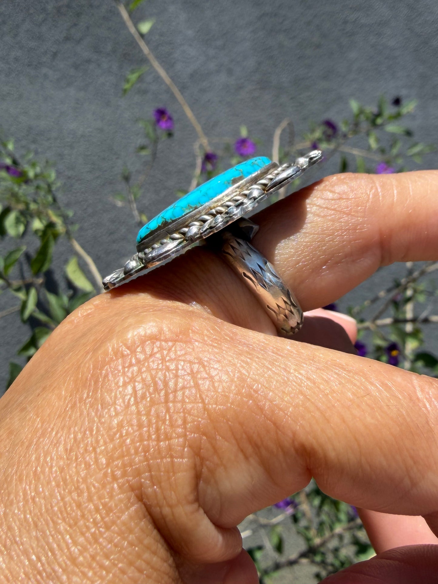 Chatfields Ring